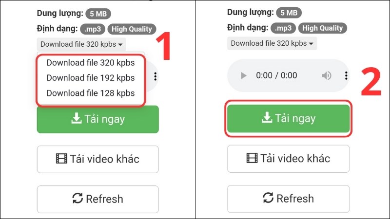 Cuối cùng chọn định dạng MP3 để tải xuống